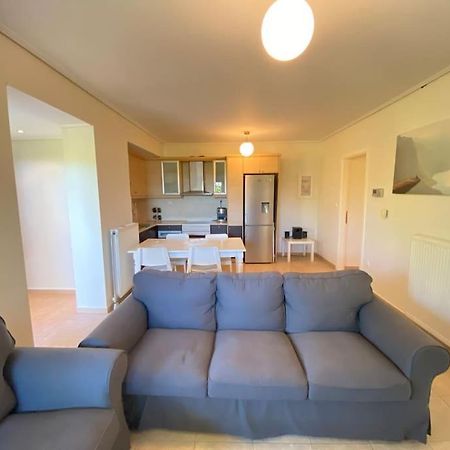 Cozy 2 Room Apartment With Garden Near Athens Air-Port Αρτέμιδα Εξωτερικό φωτογραφία
